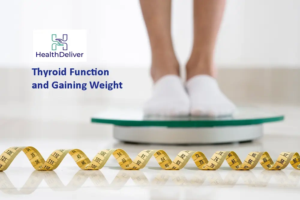 Thyroid Function and Gaining Weight: What to Know