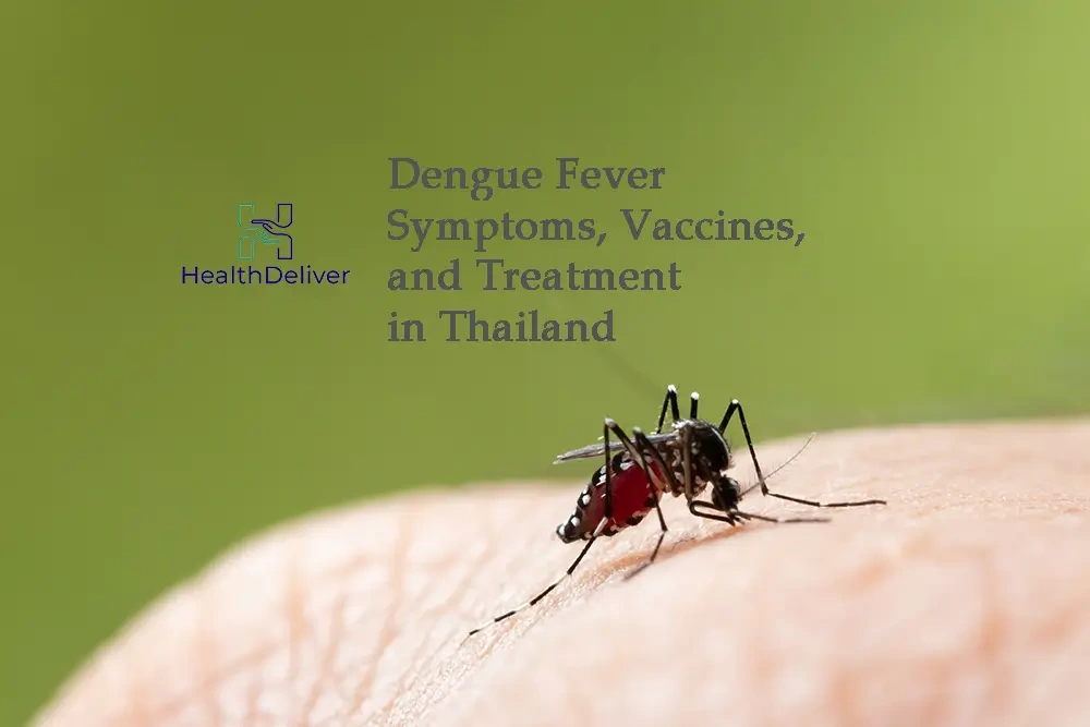 Dengue and Severe Dengue Fever: Symptoms, Vaccines, and Treatment in Thailand