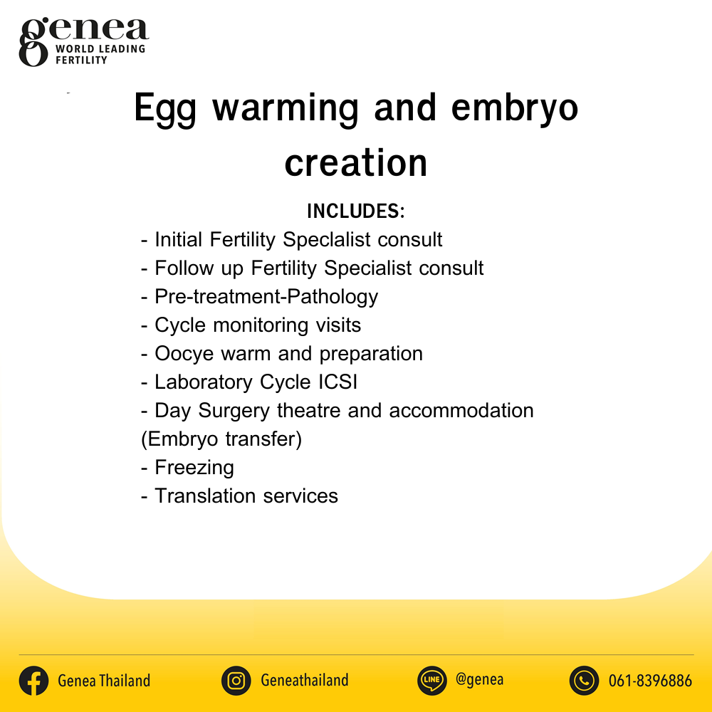 Egg warming and embryo creation