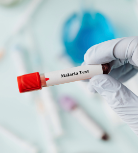 Malaria Test